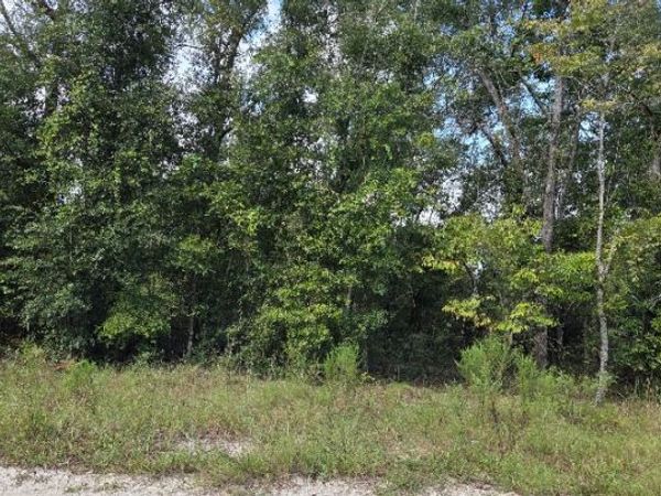 164TH STREET, McAlpin, FL 32062