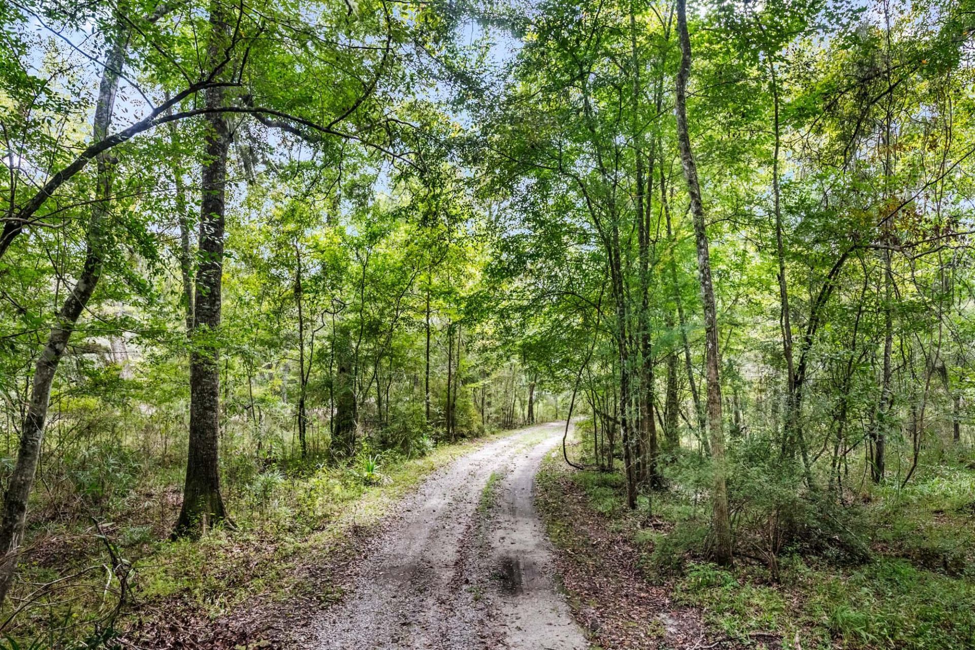 7884 Peirce Road Photo 66