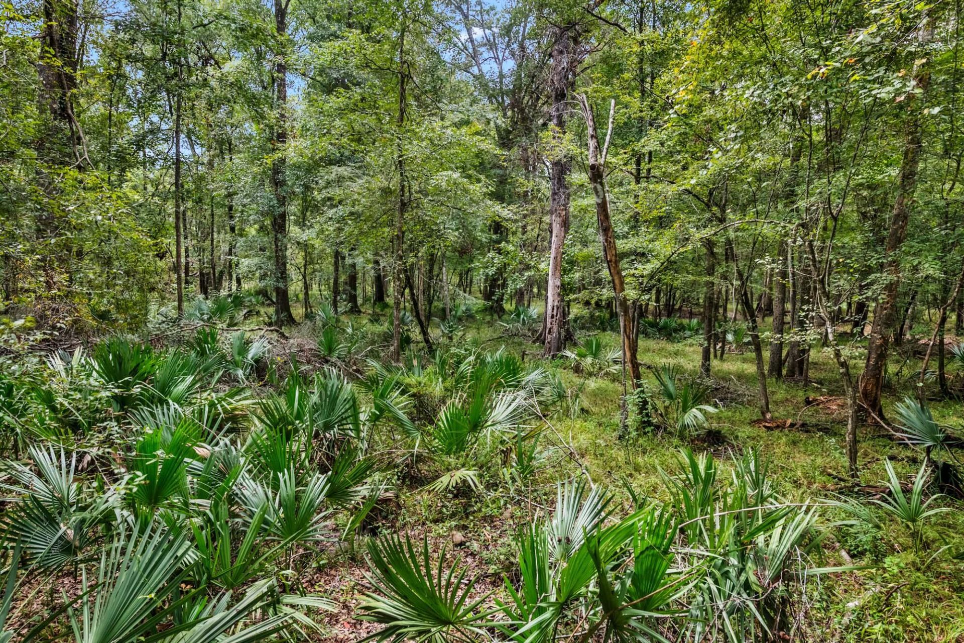 7884 Peirce Road Photo 67