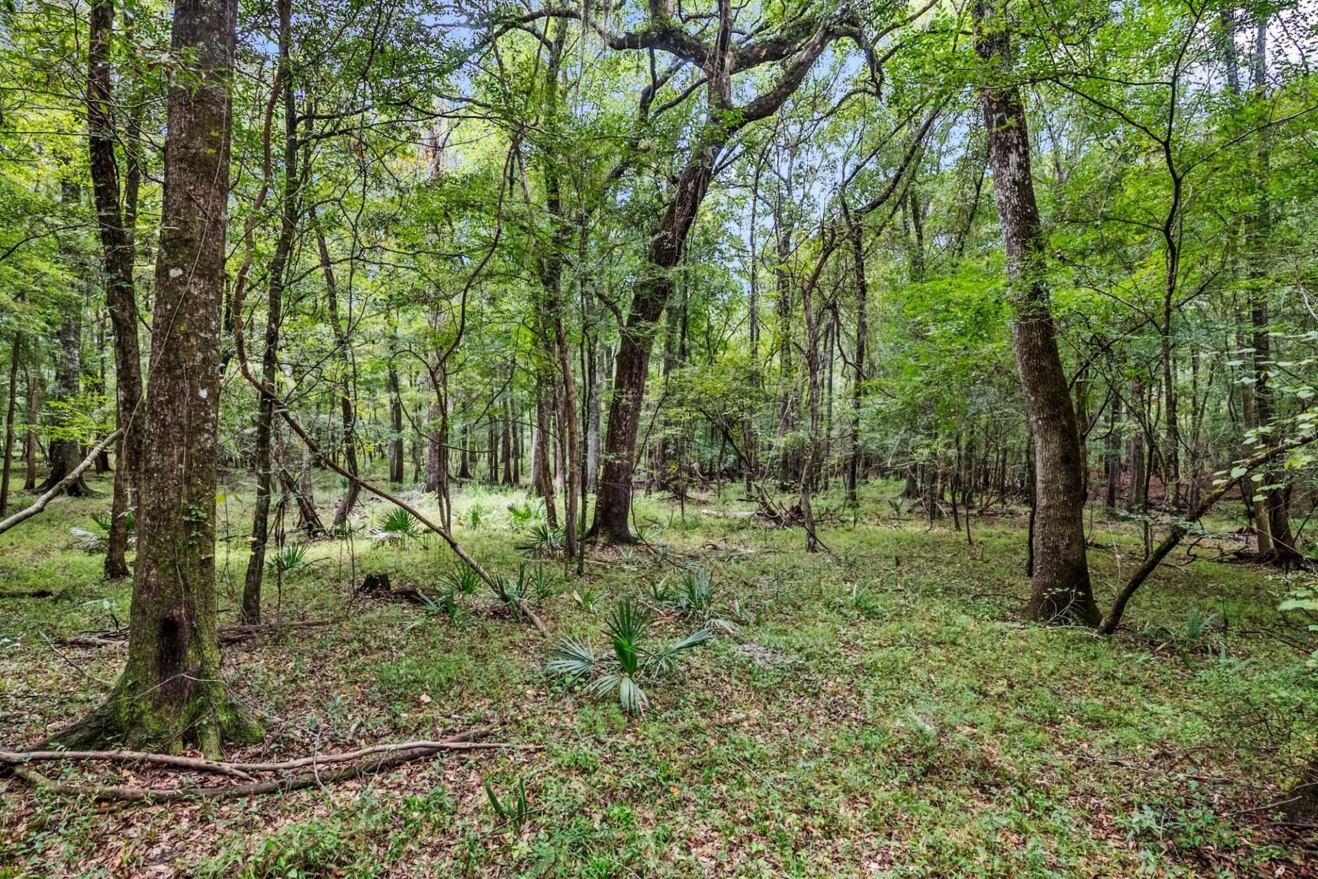 7884 Peirce Road Photo 70