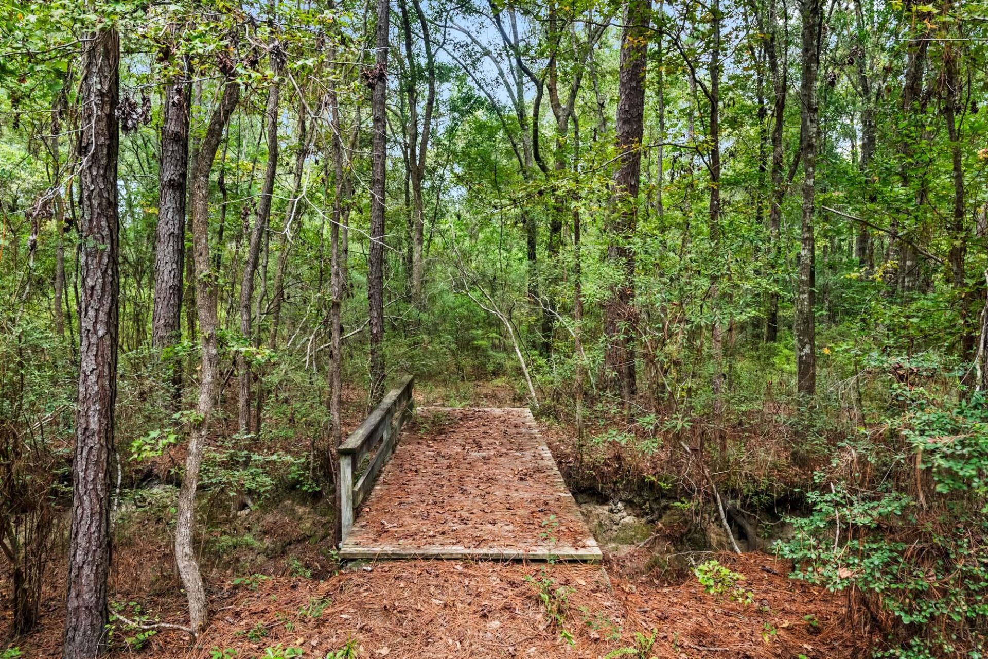 7884 Peirce Road Photo 76