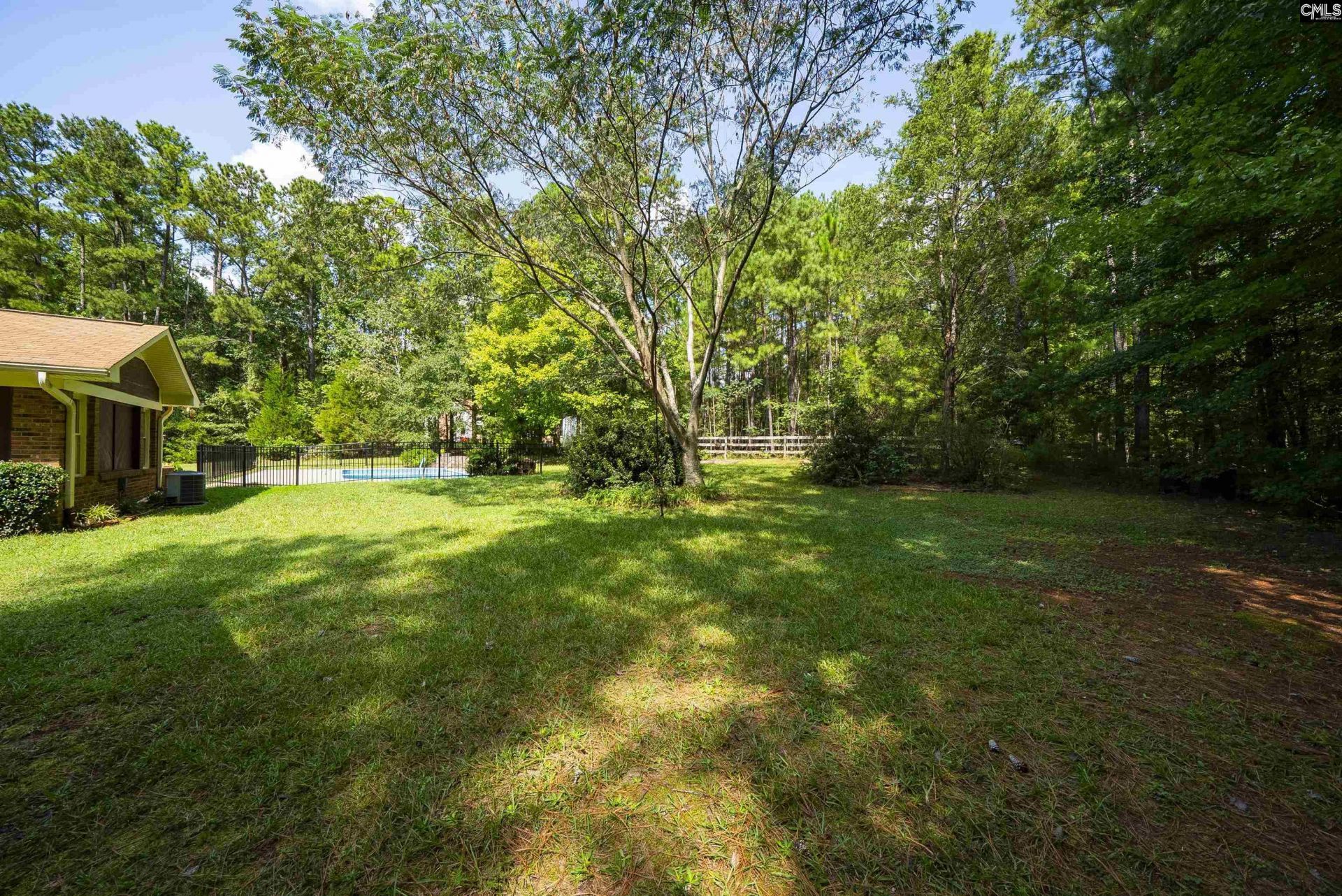 12 Dennis Lane  Photo 71