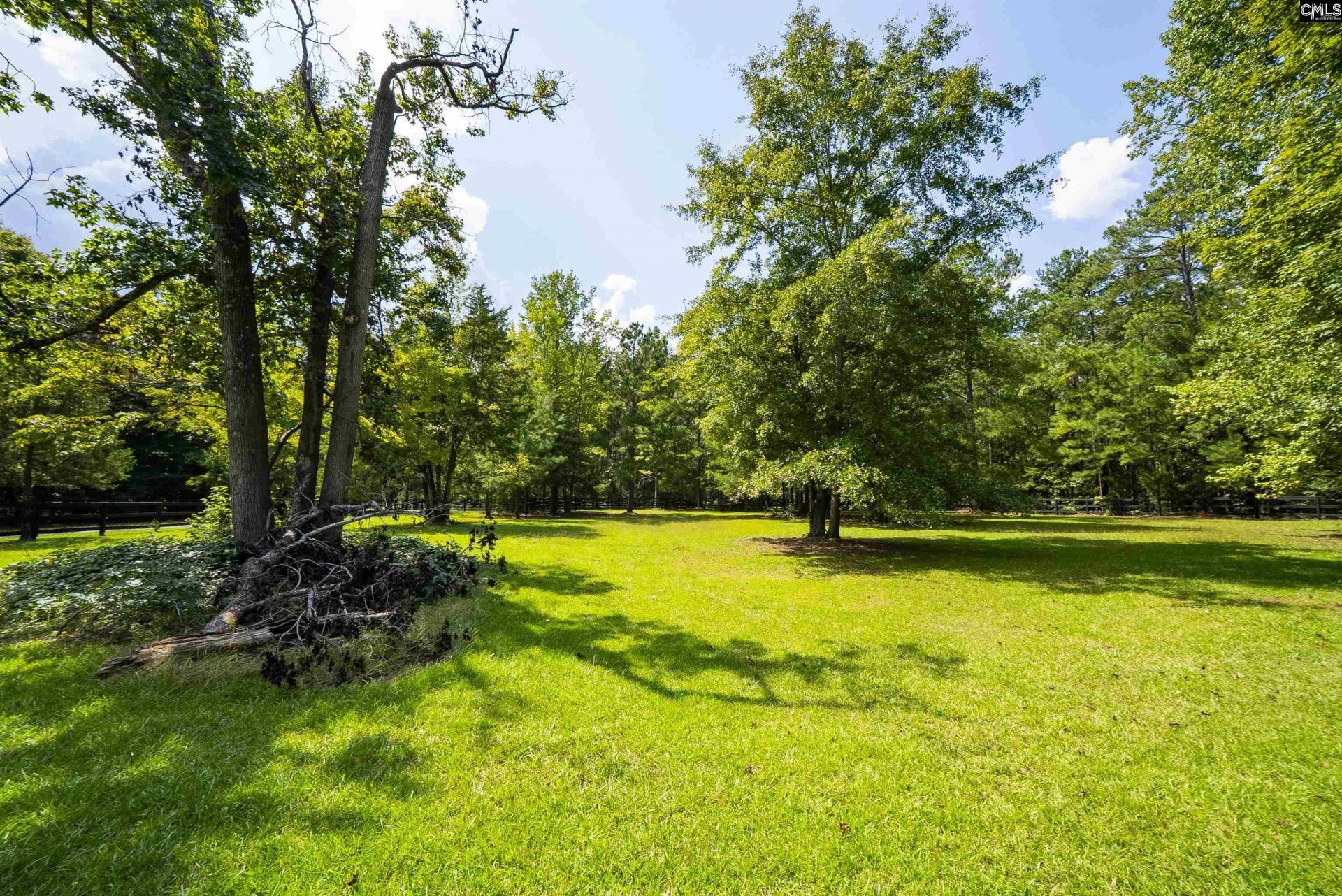 12 Dennis Lane  Photo 73
