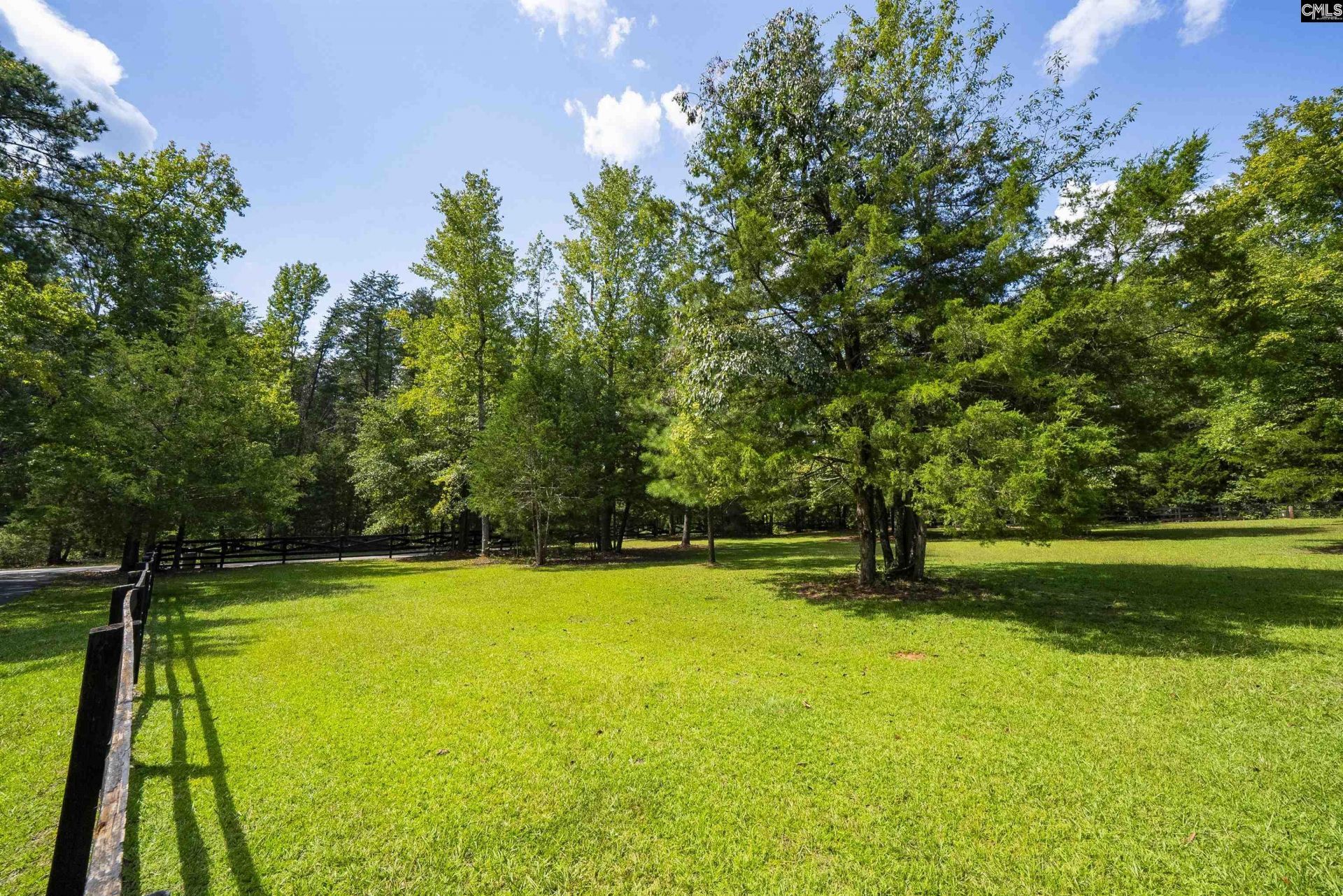 12 Dennis Lane  Photo 76