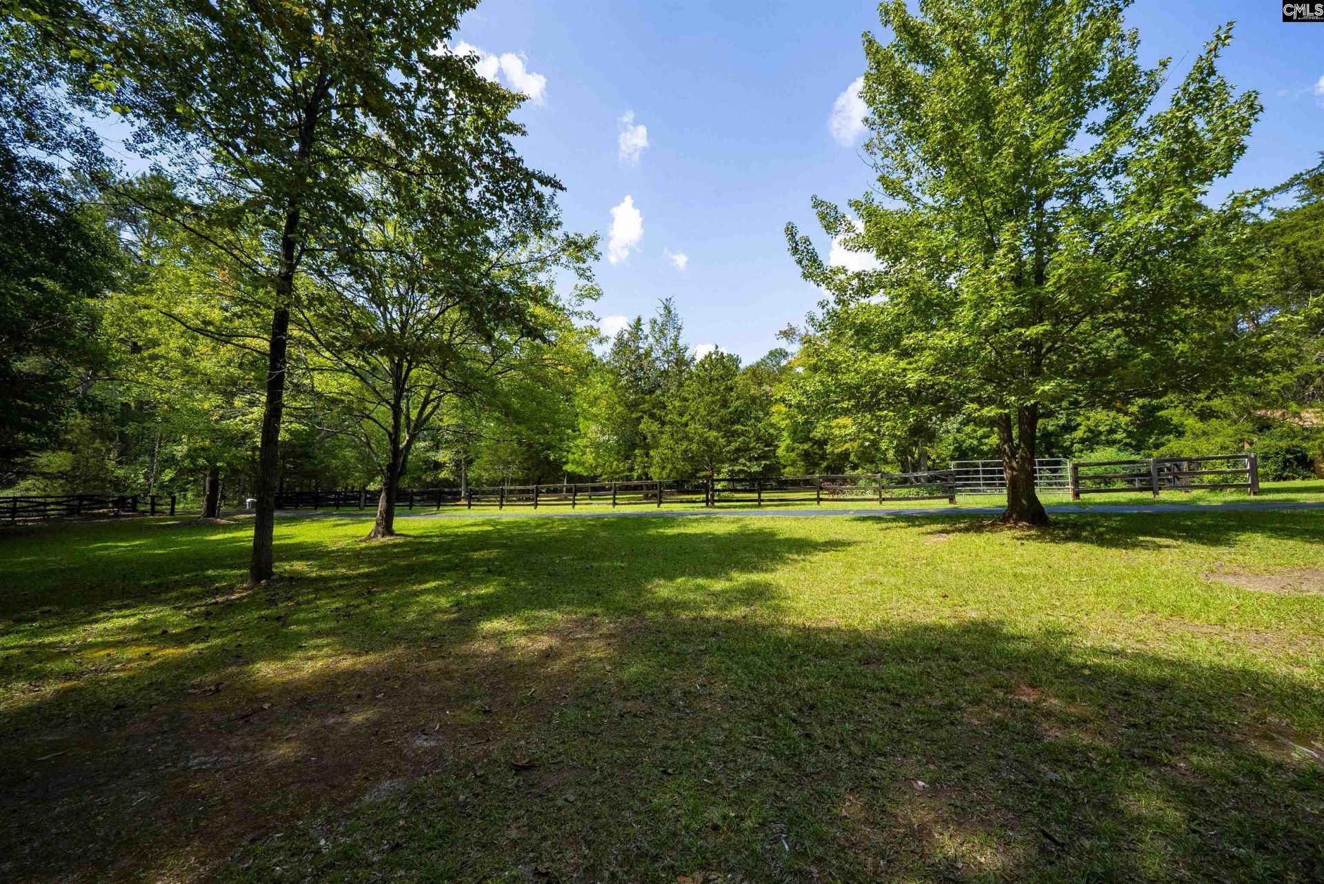 12 Dennis Lane  Photo 77