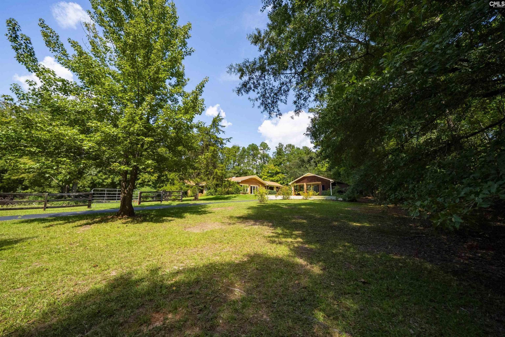 12 Dennis Lane  Photo 78