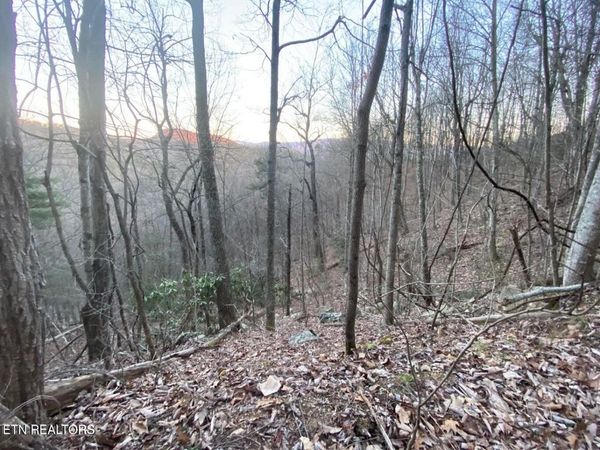 36 Elderberry Drive , Unit 36, Sevierville, TN 37876