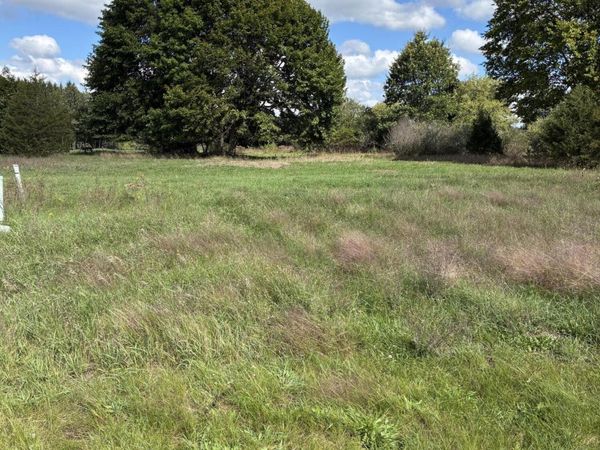 W Ellis Avenue, Belding, MI 48809
