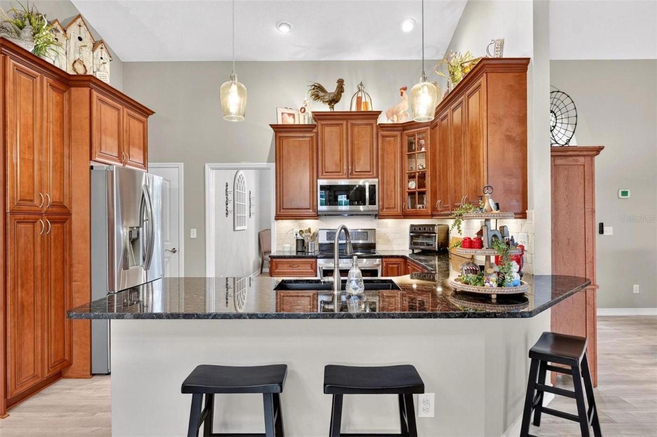 919 Ridge Spring Court , Apopka, FL 32712 Photo