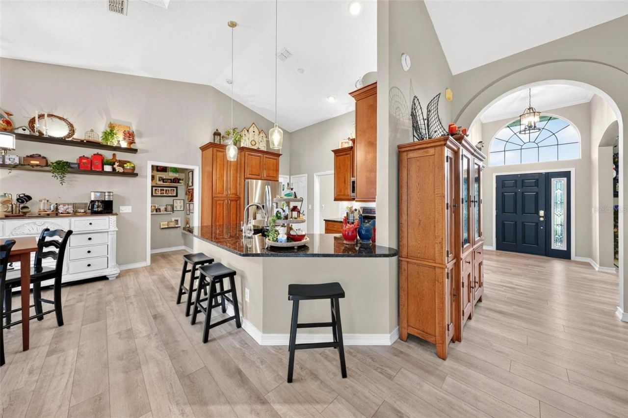 919 Ridge Spring Court , Apopka, FL 32712 Photo