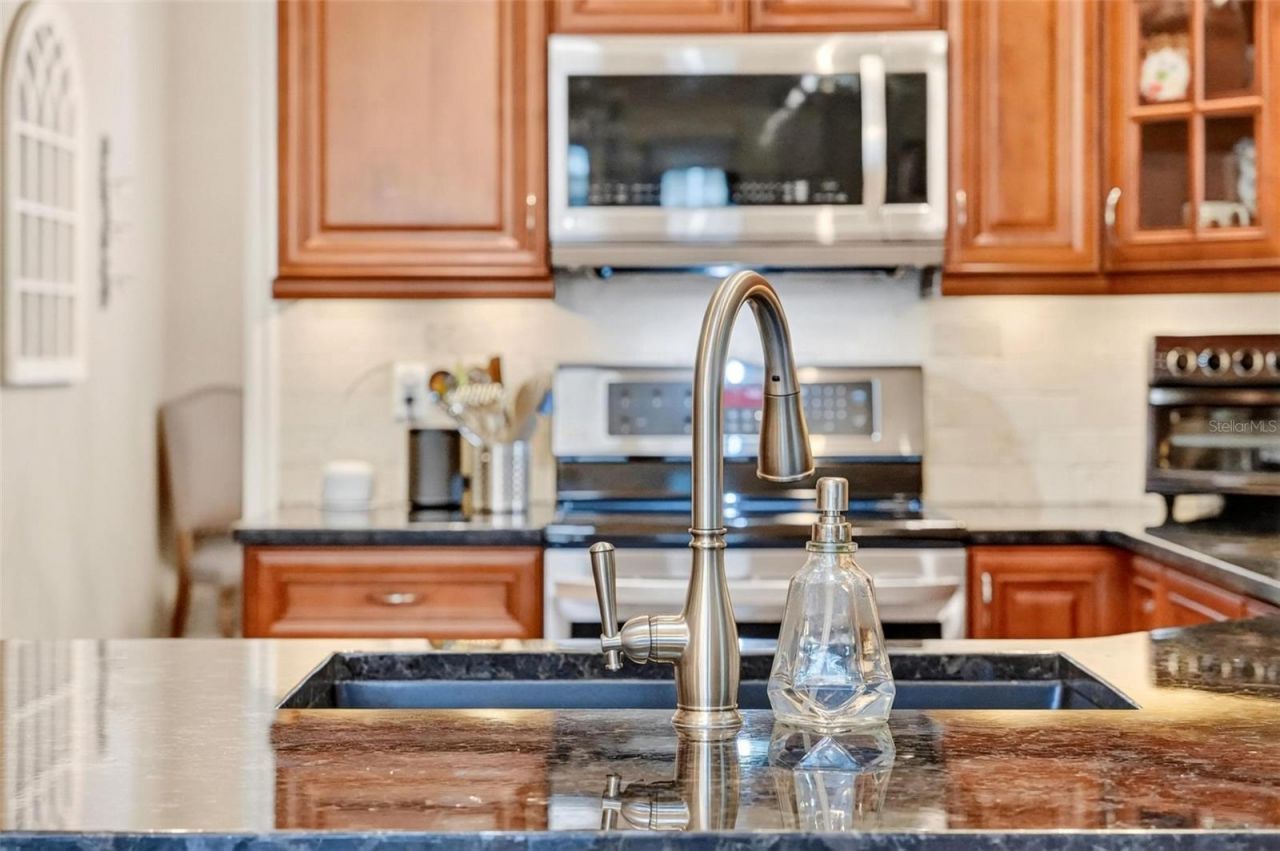 919 Ridge Spring Court , Apopka, FL 32712 Photo