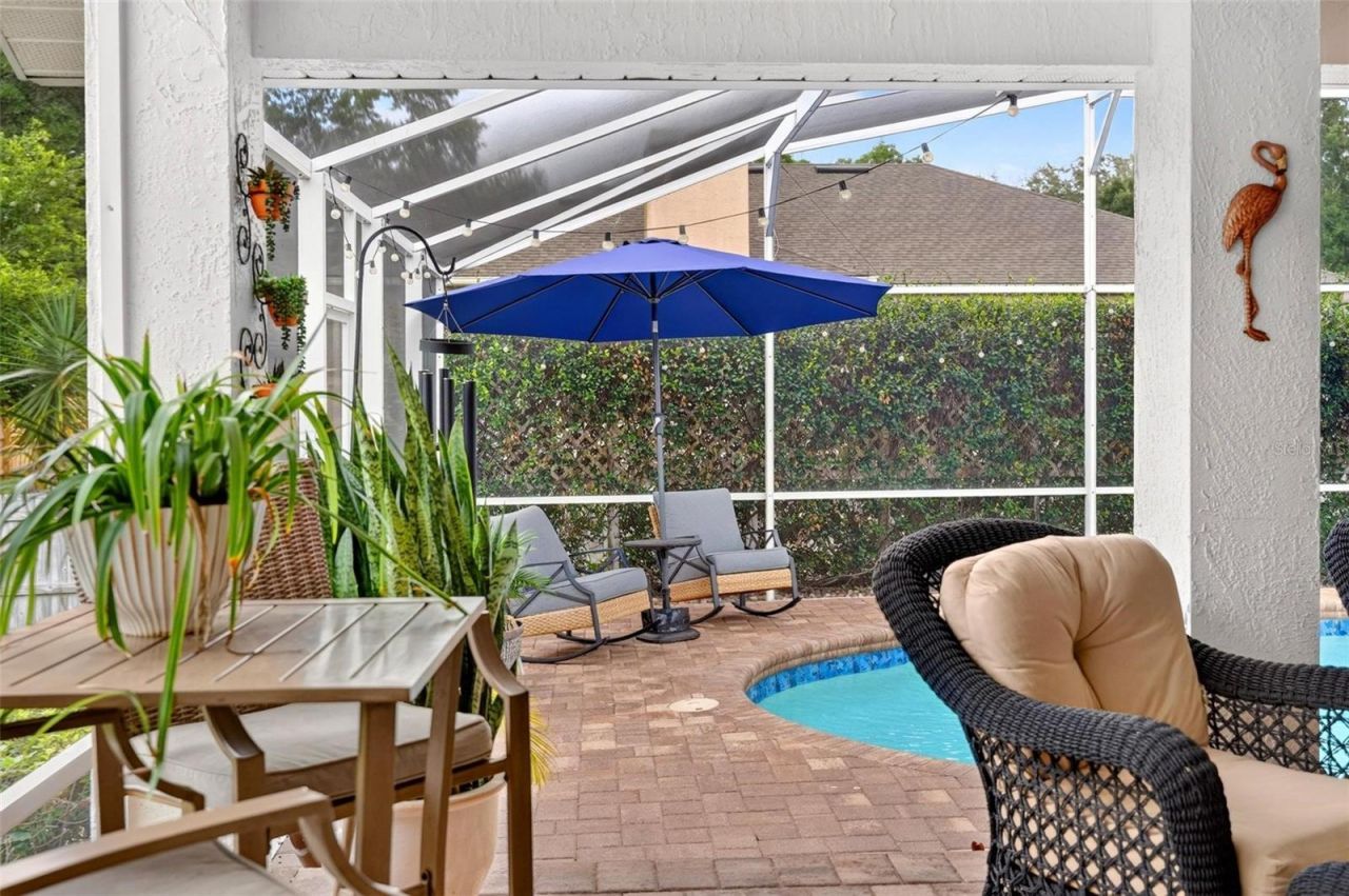 919 Ridge Spring Court , Apopka, FL 32712 Photo