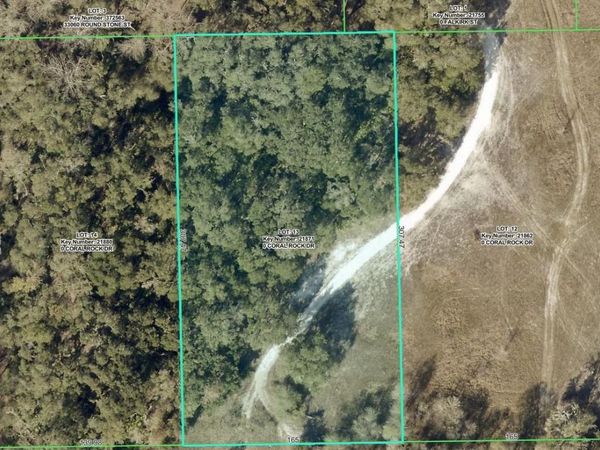 33099 CORAL ROCK DRIVE , WEBSTER, FL 33597