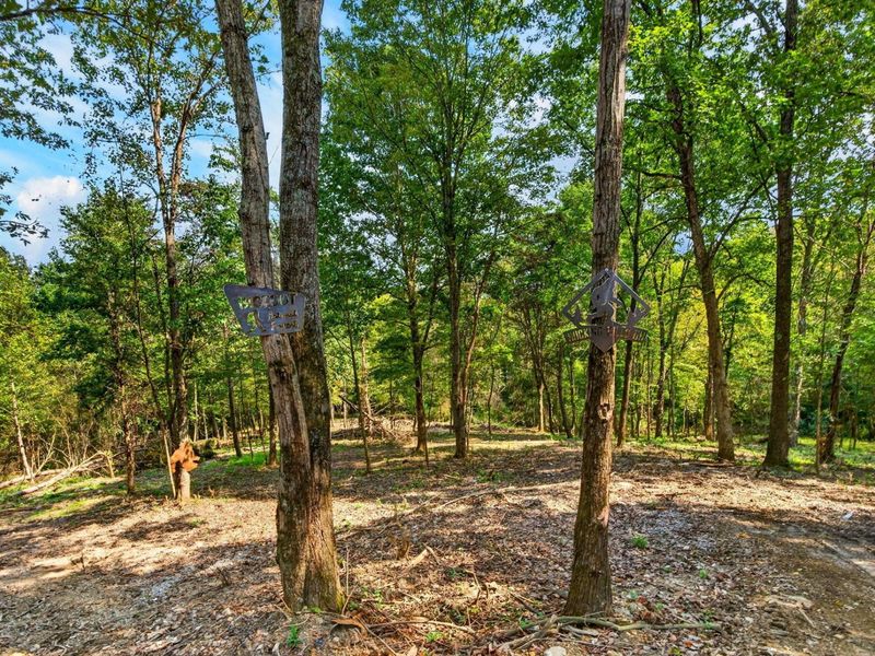 20162 Meada Road, Nelsonville, OH 45764 Photo 3