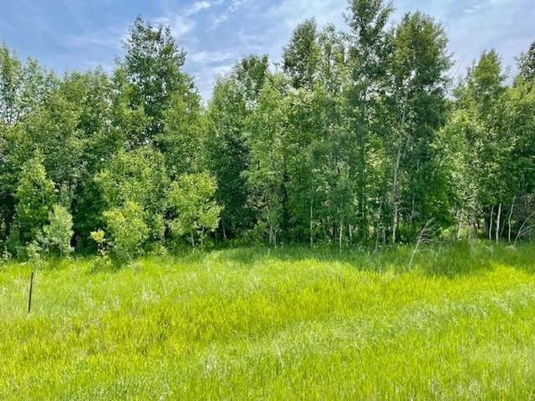 T134-R37 SEC.30    /  HWY 67 HWY 67, Henning, MN 56551