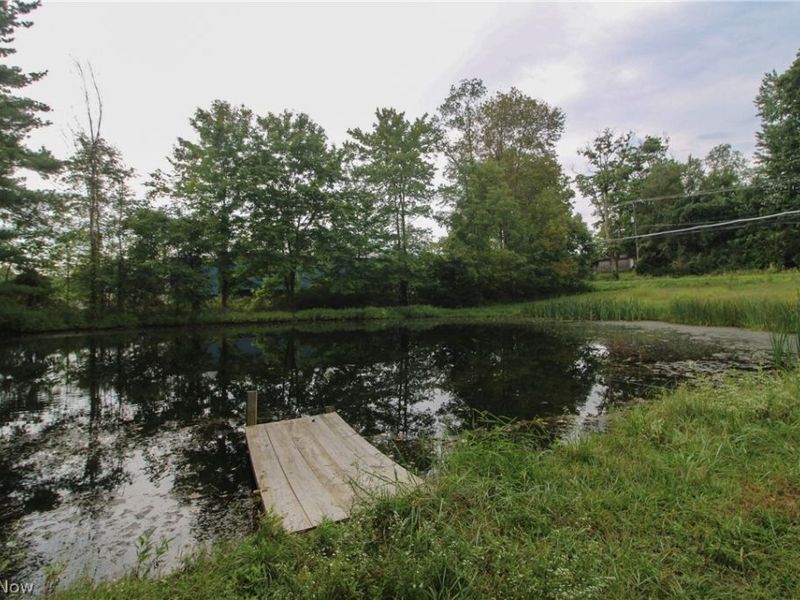 4428 State Route 7, Burghill, OH 44404 Photo 3