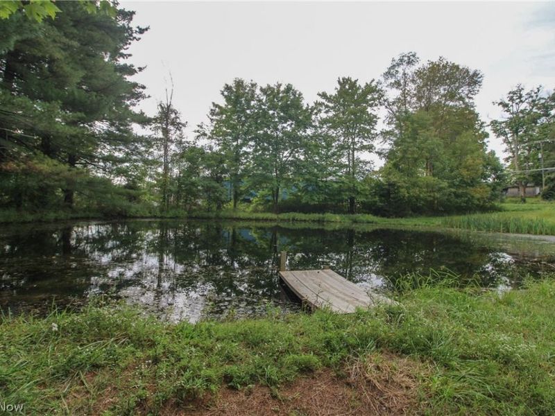 4428 State Route 7, Burghill, OH 44404 Photo 30