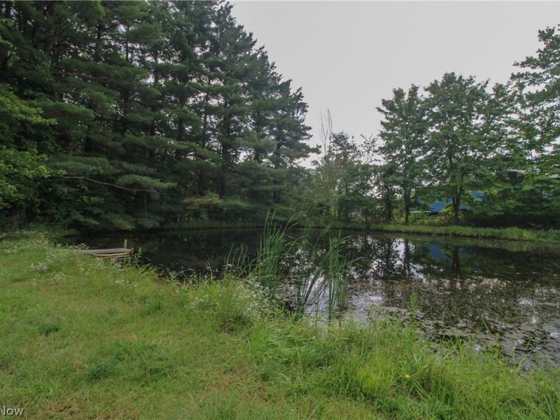 4428 State Route 7, Burghill, OH 44404 Photo 31