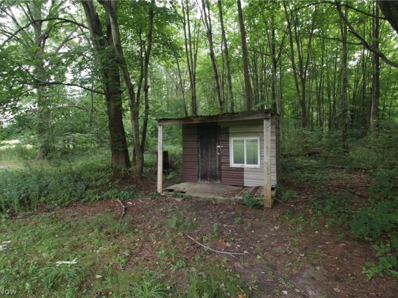 4428 State Route 7, Burghill, OH 44404 Photo 32