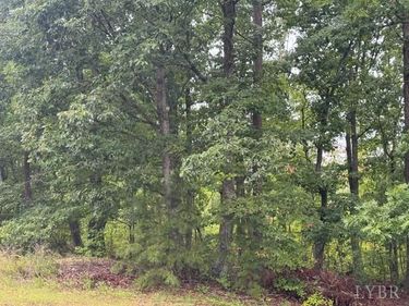 0 W James Anderson Highway, Gladstone, VA 24553
