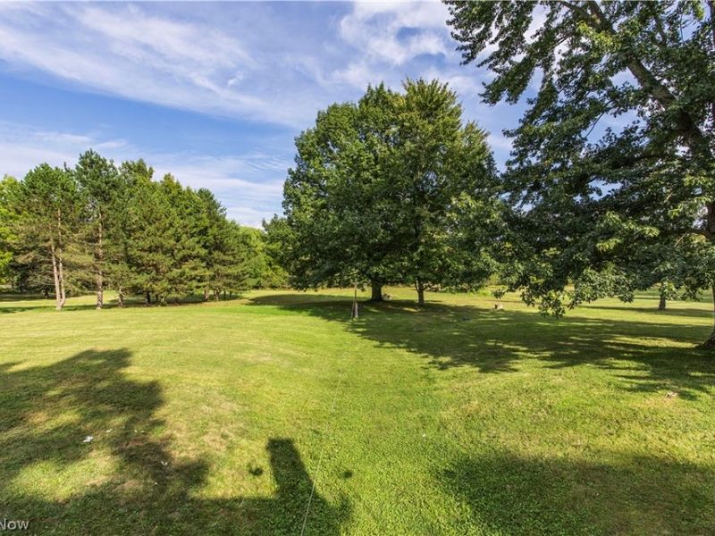 7037 Ryan Road, Medina, OH 44256 Photo 41