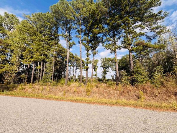Bald Knob, AR 72010