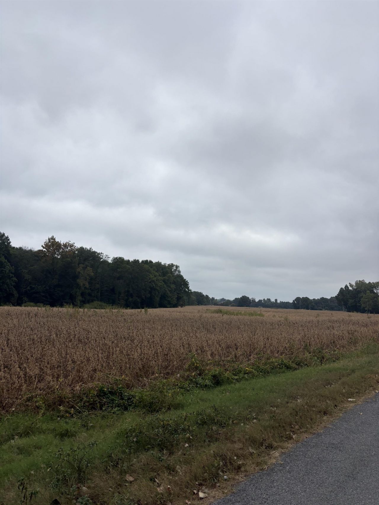 00 Lynn School Rd, Ripley, TN 38063 Main Photo