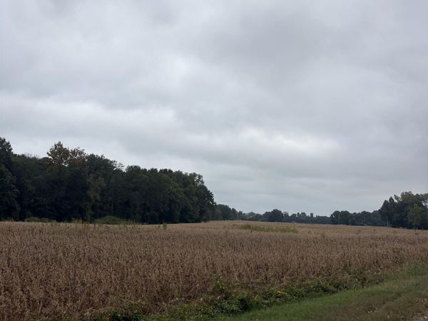 00 LYNN SCHOOL RD, Ripley, TN 38063