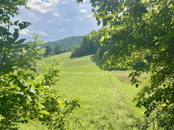 00 Country View Lane, St. Johnsbury, VT 05819