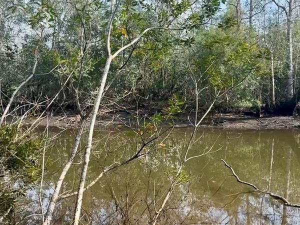 3836 Cypress Shores Drive N, Mobile, AL 36619