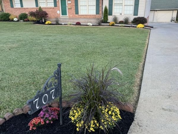 707 Hollis, Kingsport, TN 37660