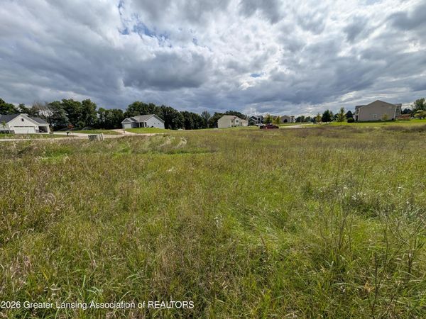 0 Mountainmint Circle, Portland, MI 48875