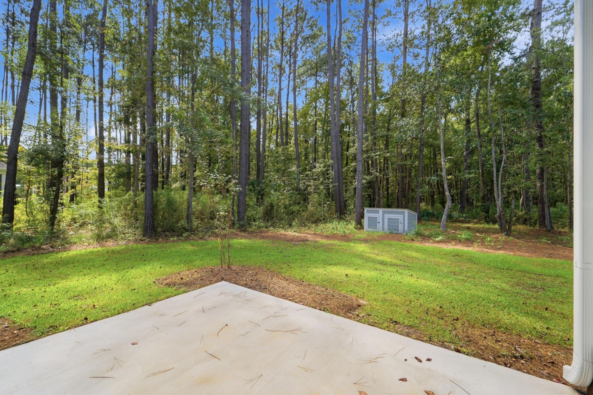 1167 Guerins Bridge Road Photo 24
