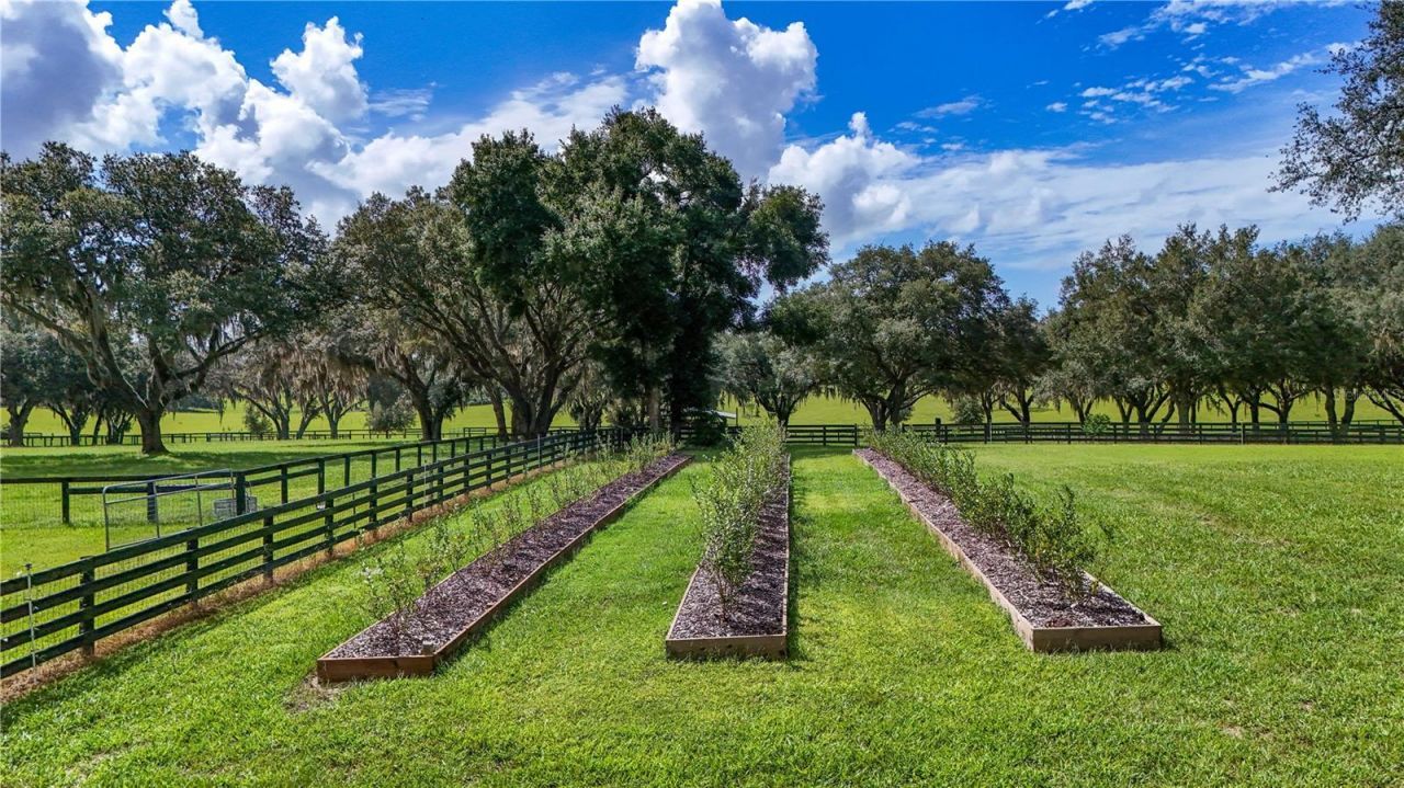 38224 Journey Lane, Lady Lake, FL 32159 Photo