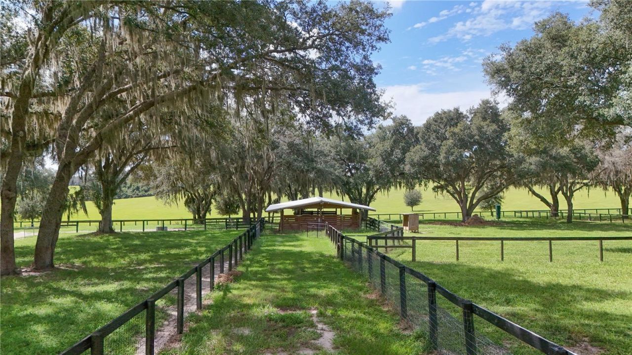 38224 Journey Lane, Lady Lake, FL 32159 Photo