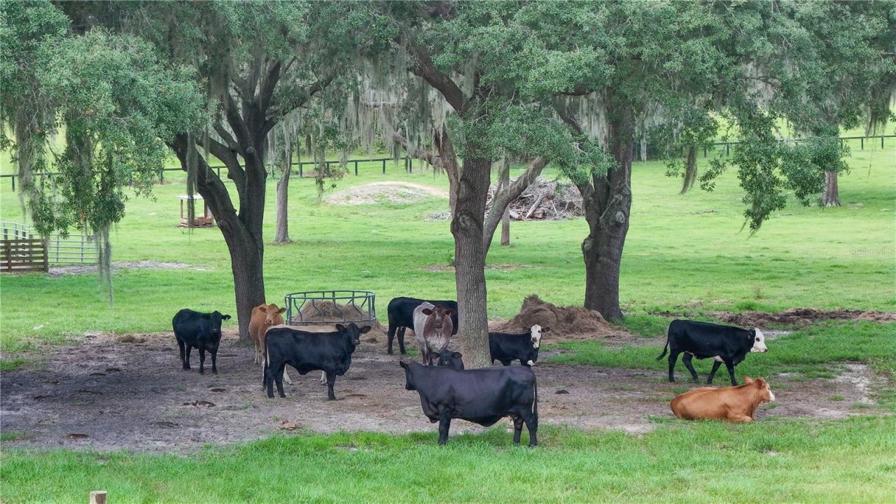38224 Journey Lane, Lady Lake, FL 32159 Photo
