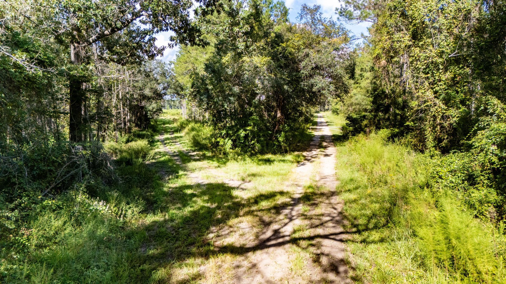 00 Greenwood Road Photo 4