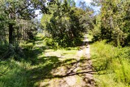 00 Greenwood Road photo 4