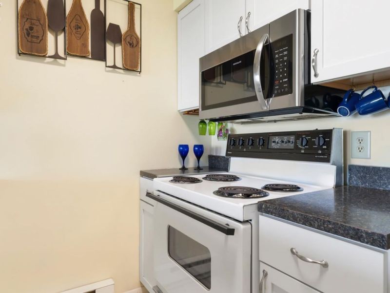 348 Toledo Avenue, Unit H, Put in Bay, OH 43456 Photo 10