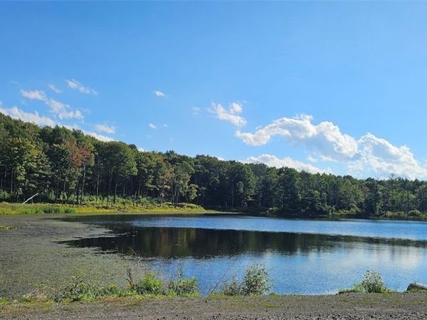 Creamery Road, Richford, NY 13835