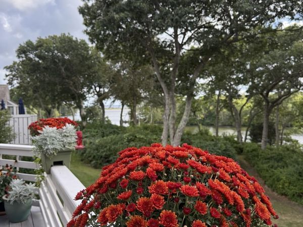 34 Landfall, Unit 34, Falmouth, MA 02540