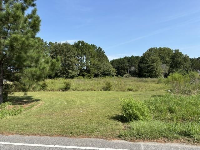 Tbd Highway 747, Loris, SC 29569 Main Photo