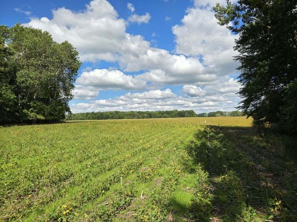 2175 16 Mile Road NE, Cedar Springs, MI 49319