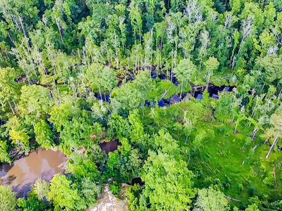 0-C Mount Carmel Road, Walterboro, SC 29488