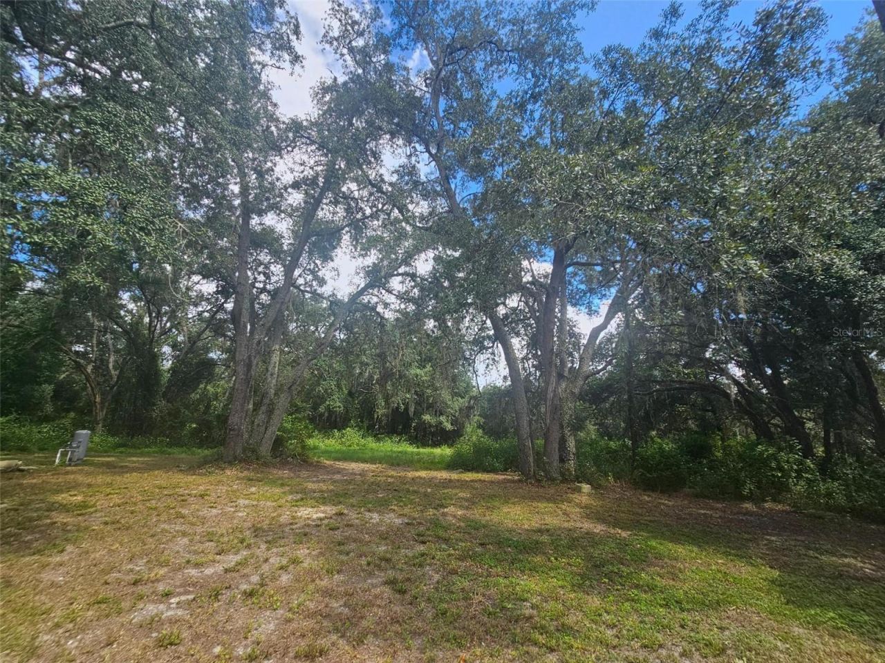 9485 Rousseau Street, Webster, FL 33597 Photo