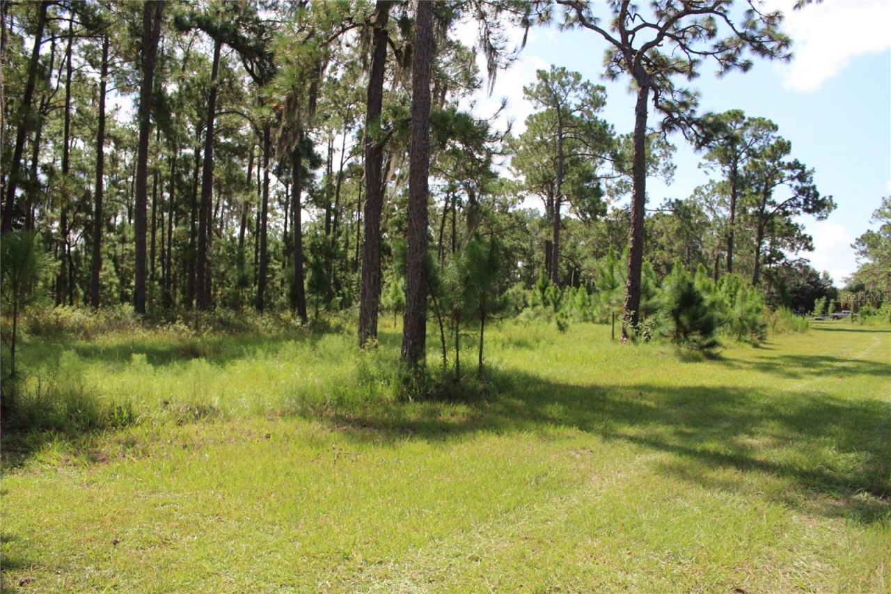 Us Highway 98 W, Frostproof, FL 33843 Photo