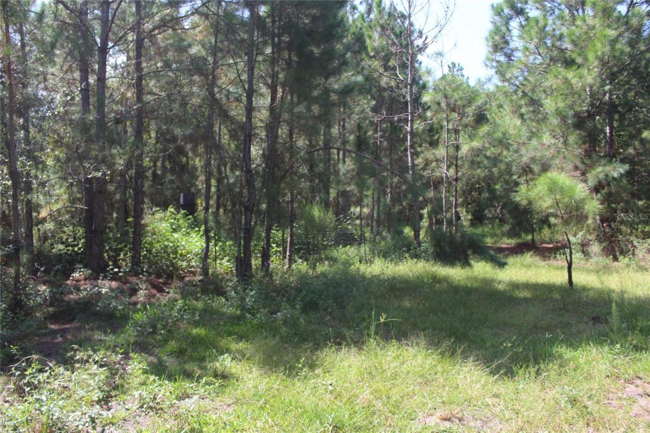 Us Highway 98 W, Frostproof, FL 33843 Photo