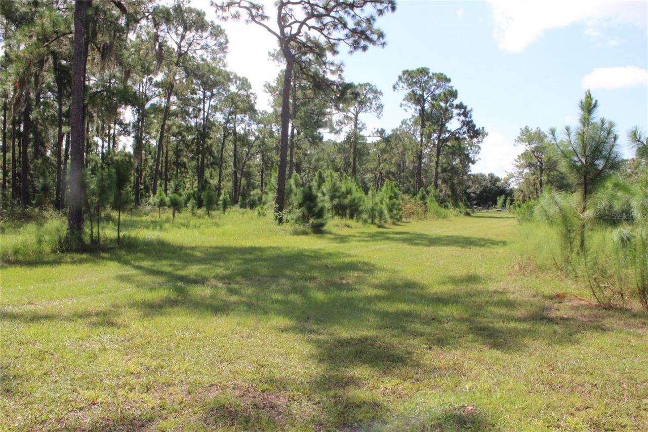 Us Highway 98 W, Frostproof, FL 33843 Photo
