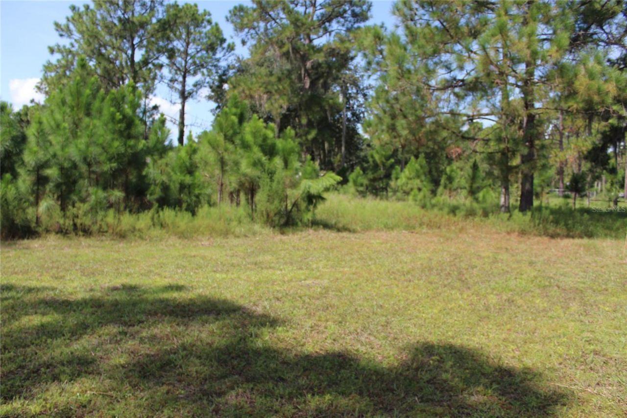 Us Highway 98 W, Frostproof, FL 33843 Photo