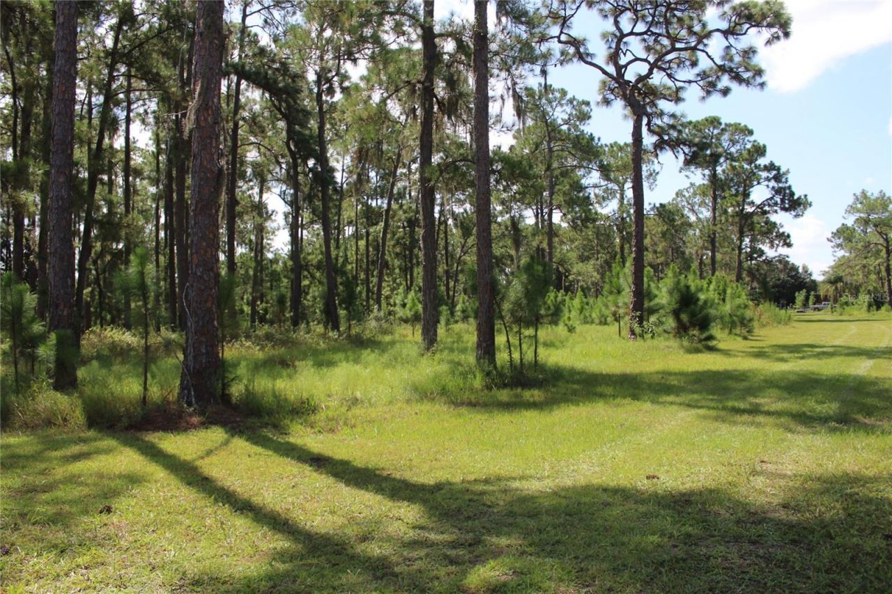 Us Highway 98 W, Frostproof, FL 33843 Photo